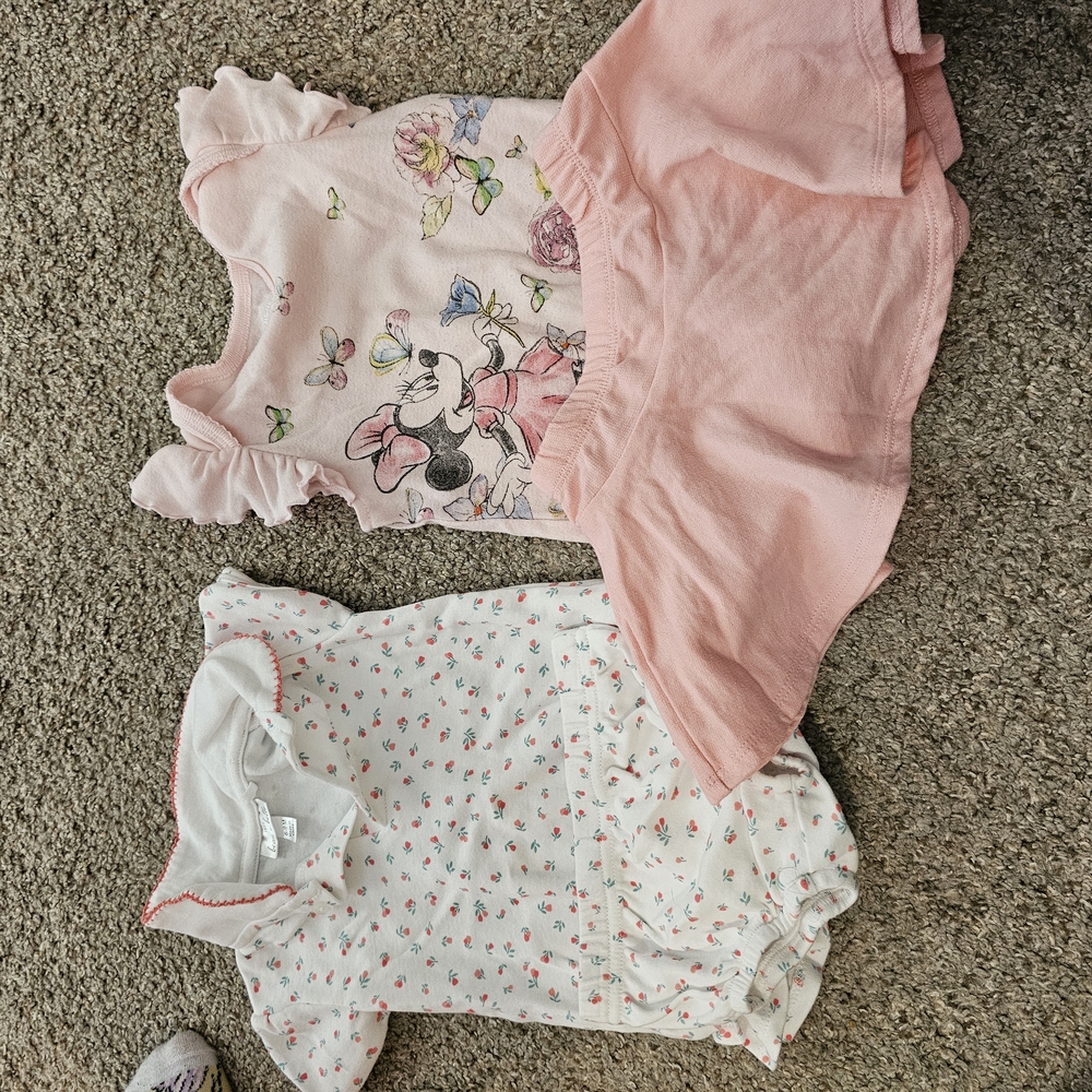 Pink Minnie Mouse Dress and Floral Onesie Set